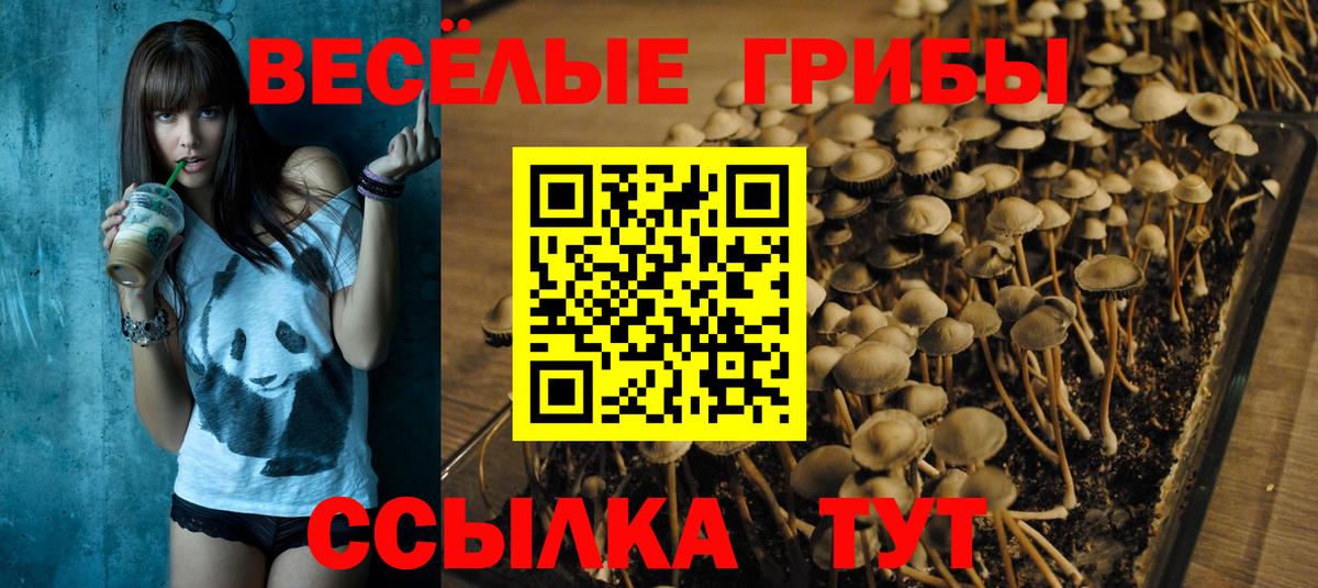 Галлюциногенные грибы ЛСД Верхняя Салда